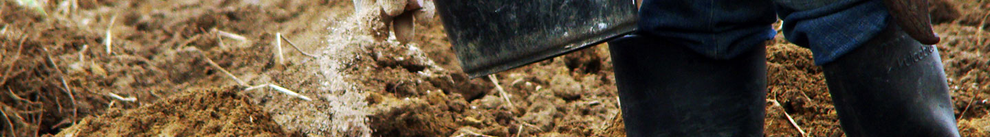 Banner da Pagina