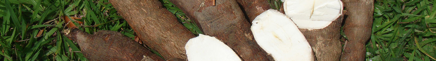 Banner da Pagina