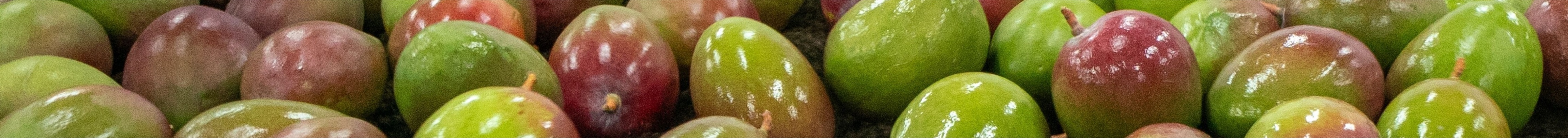 Banner da Pagina