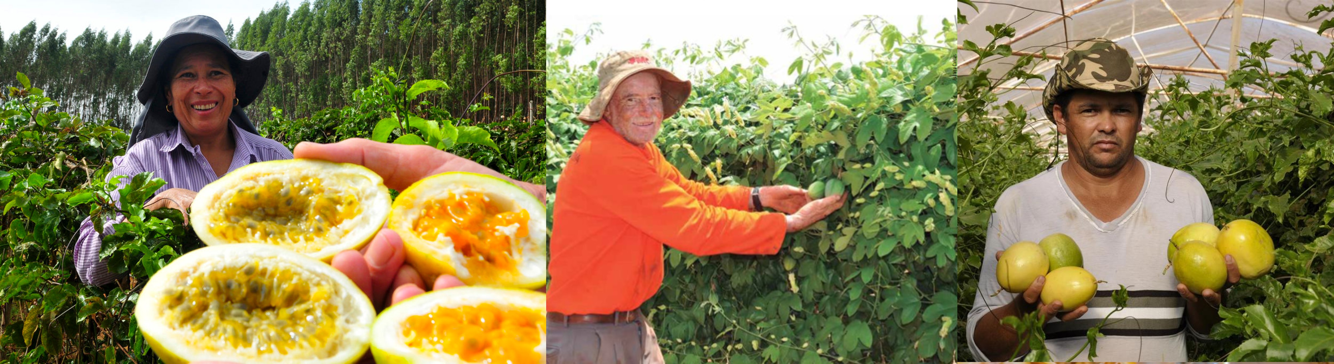 Banner da Pagina
