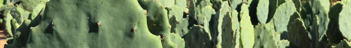 Banner da Pagina