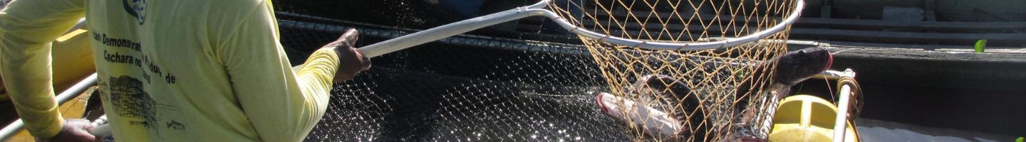 Banner da Pagina