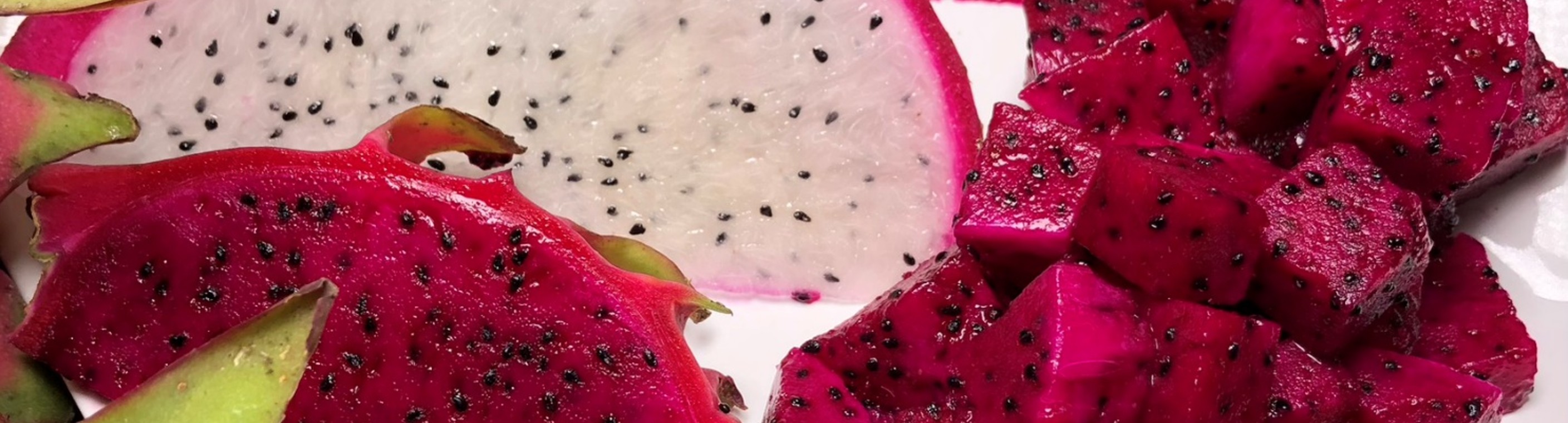Banner da Pagina