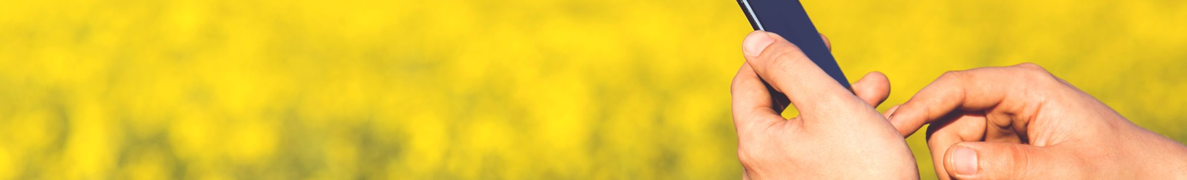 Banner da Pagina