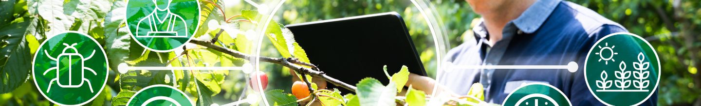 Banner da Pagina