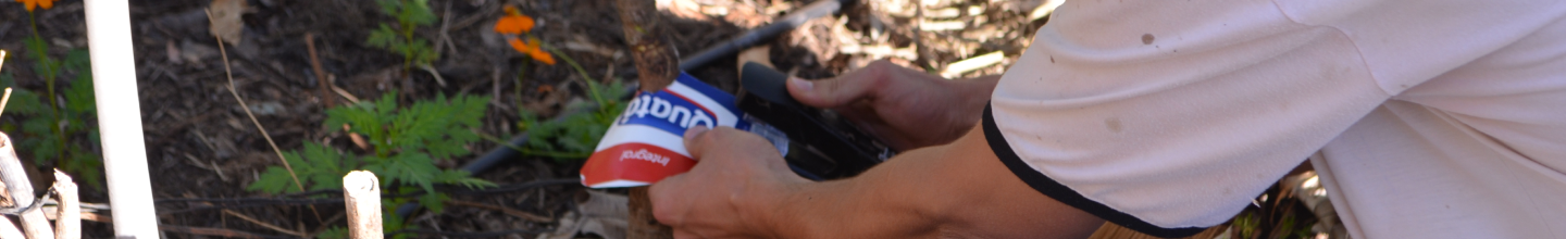 Banner da Pagina
