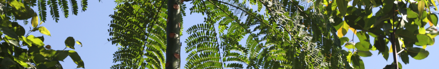 Banner da Pagina
