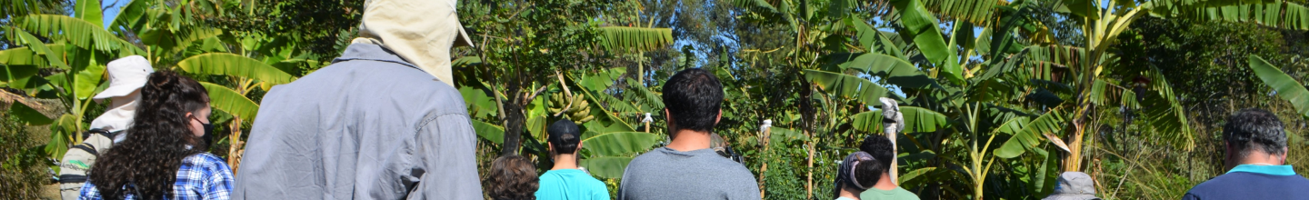 Banner da Pagina