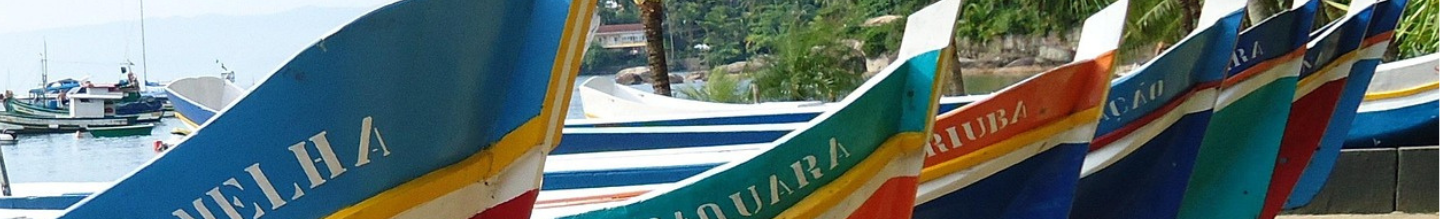 Banner da Pagina