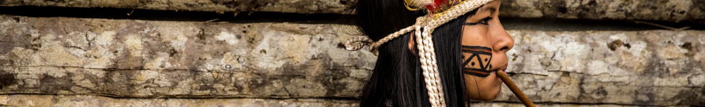 Banner da Pagina
