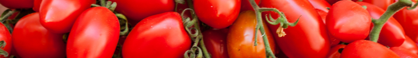 Banner da Pagina