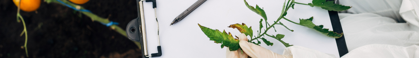 Banner da Pagina