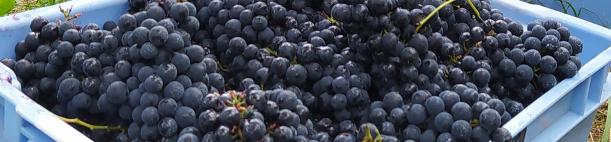 Banner da Pagina