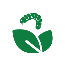 Ir para a Pagina Inicial!