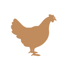 Ir para a Pagina Inicial!