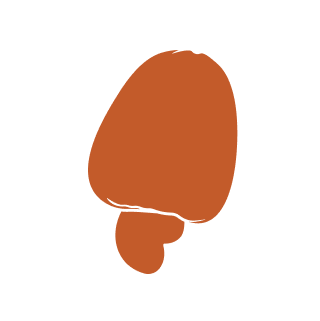 Ir para a Pagina Inicial!