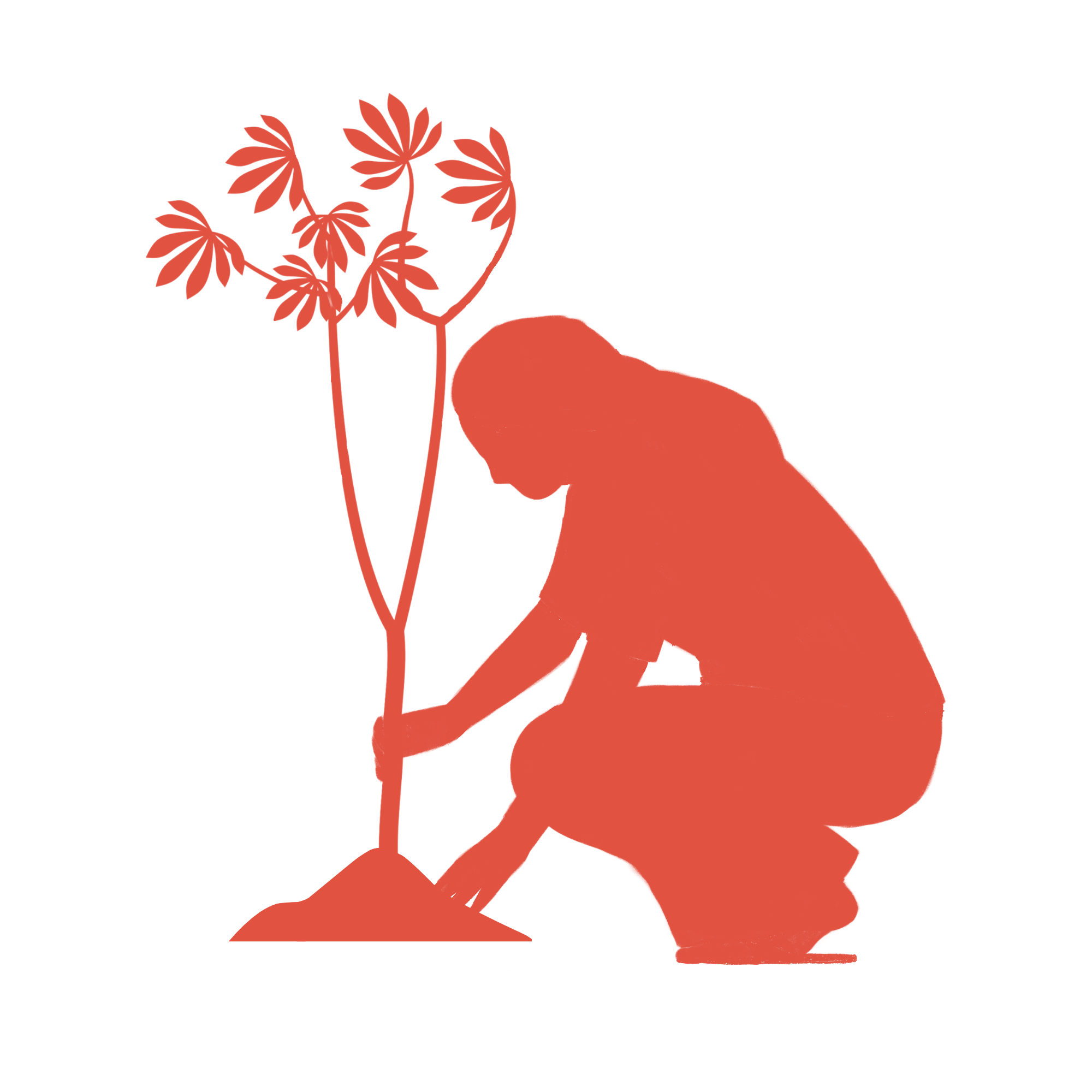 Ir para a Pagina Inicial!