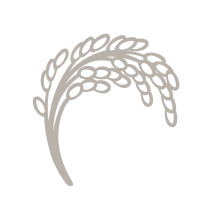 Ir para a Pagina Inicial!