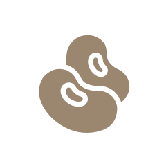 Ir para a Pagina Inicial!