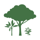 Ir para a Pagina Inicial!