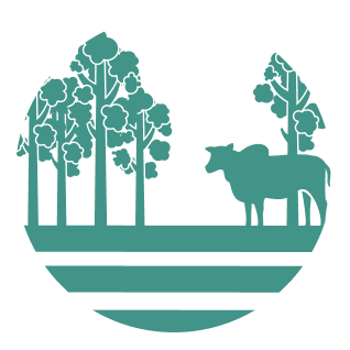 Ir para a Pagina Inicial!